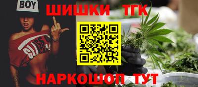 бошки Сланцы